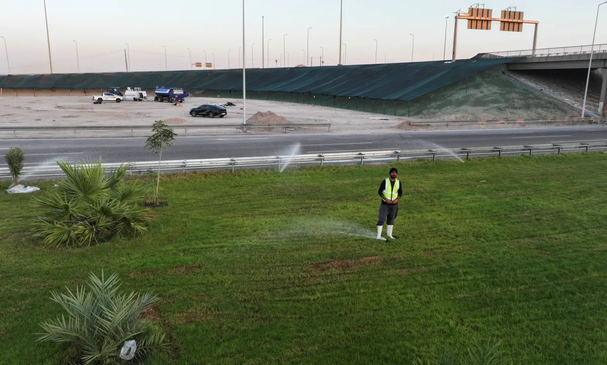 البصرة تستخدم بذور هولندية لتخفيف حرارة الجو