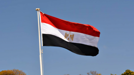 تحركات دبلوماسية مصرية لتعزيز الأمن القومي