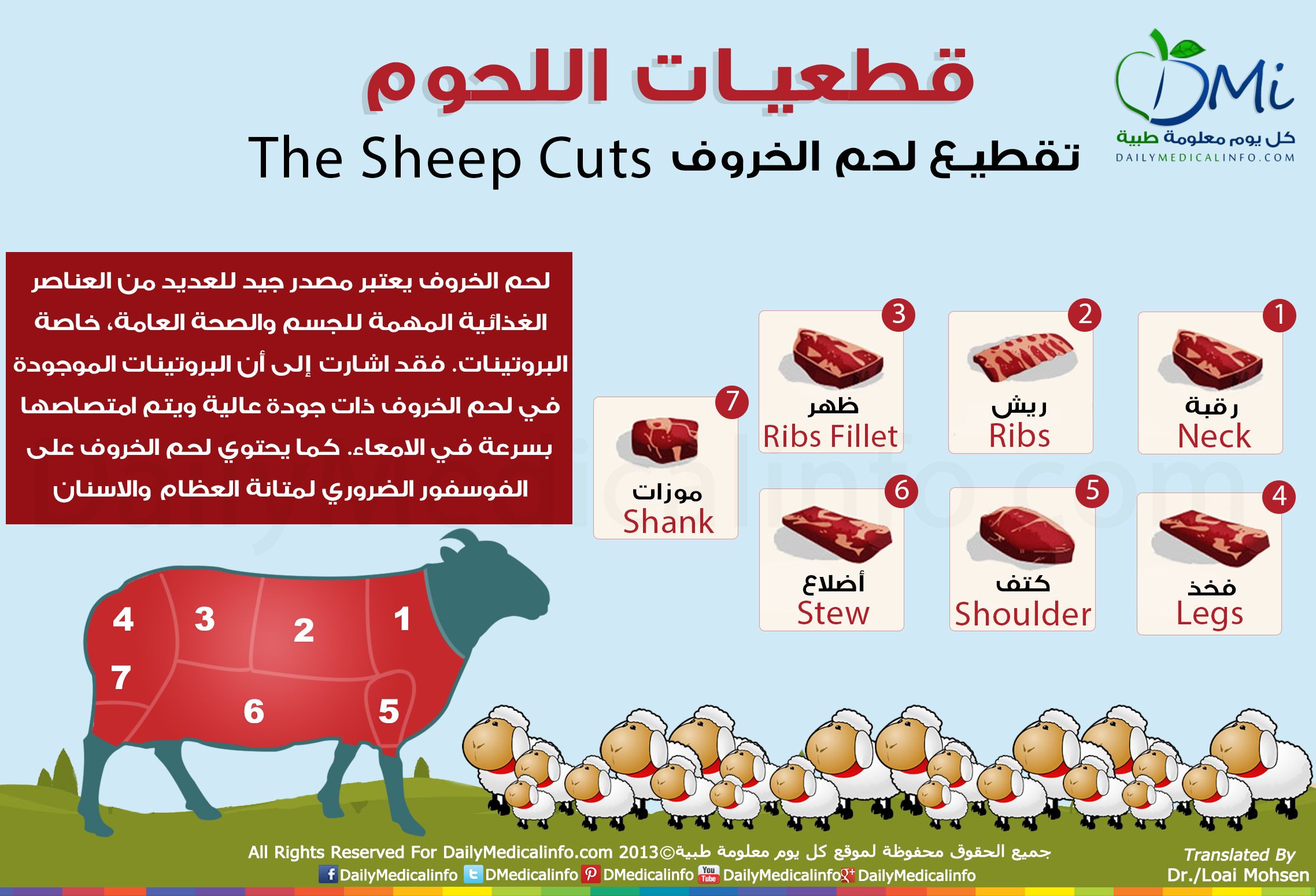 حكم إخراج الأضحية في عيد الأضحى 2026