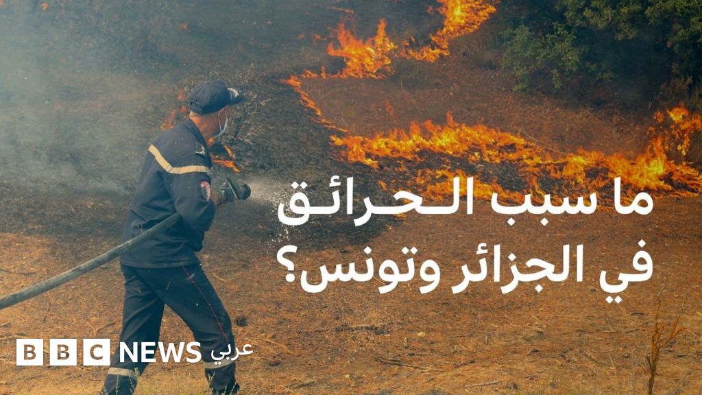 موجة حر استثنائية في الجزائر وتونس